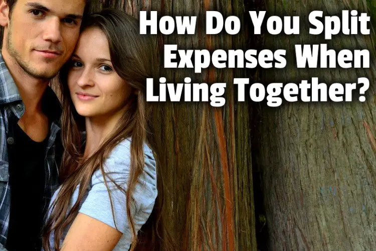 split expenses living together lg