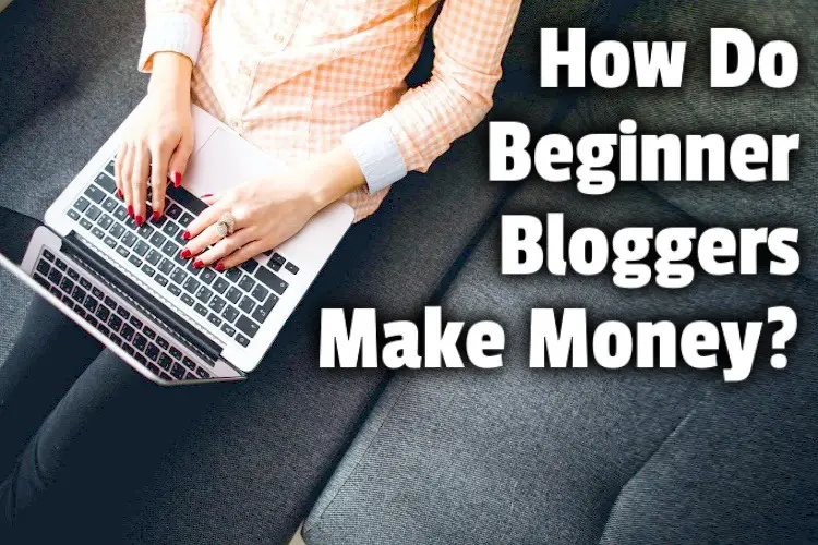 beginner blogger money lg