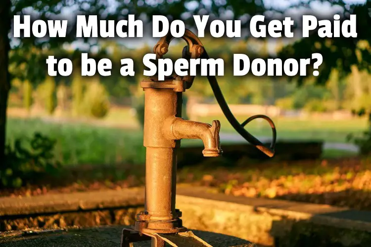 sperm donor money lg
