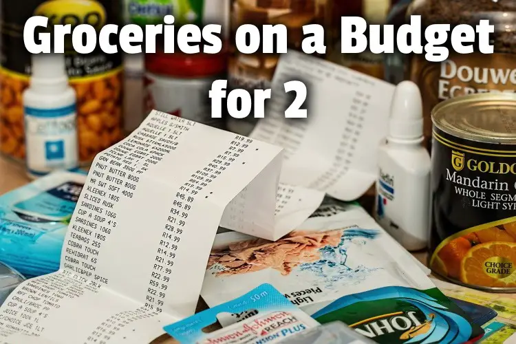 grocery budget for 2 lg